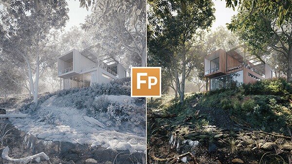 115_Forest Pack Placement