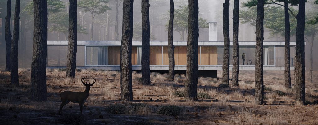 PICSIMstudio_ForestHouse_web