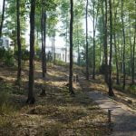 23059_ROARK_BERNARDOVO_2