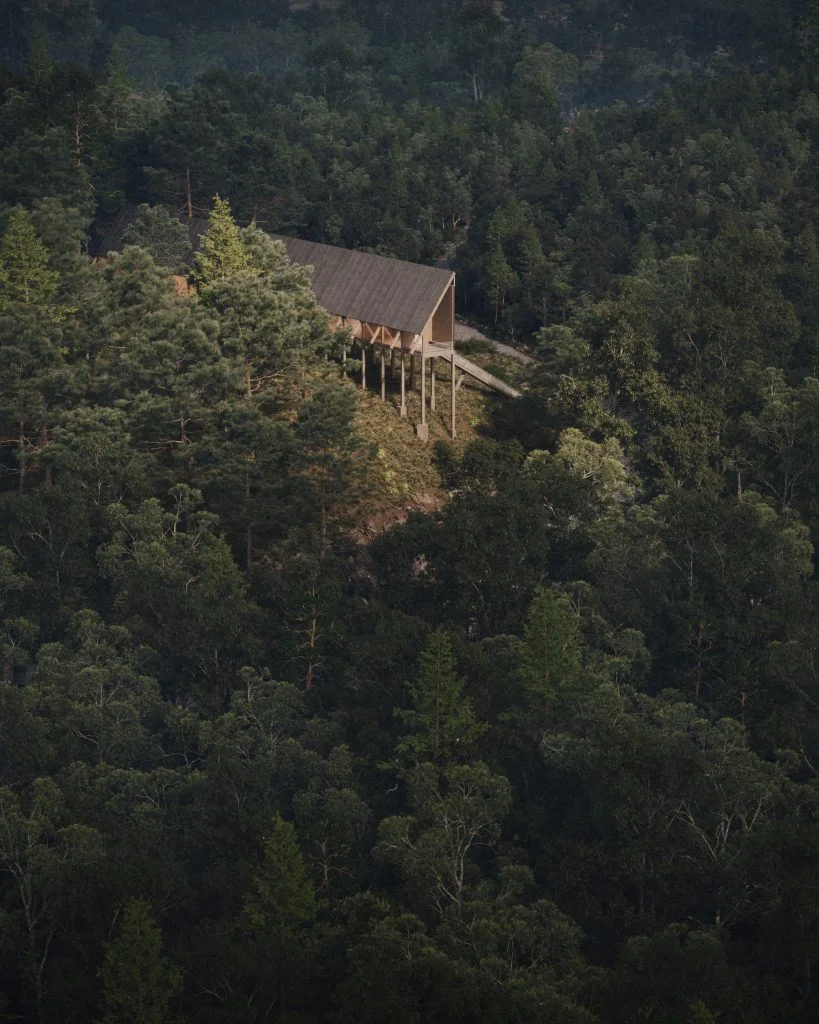 Okdraw_It-is-Happening-again